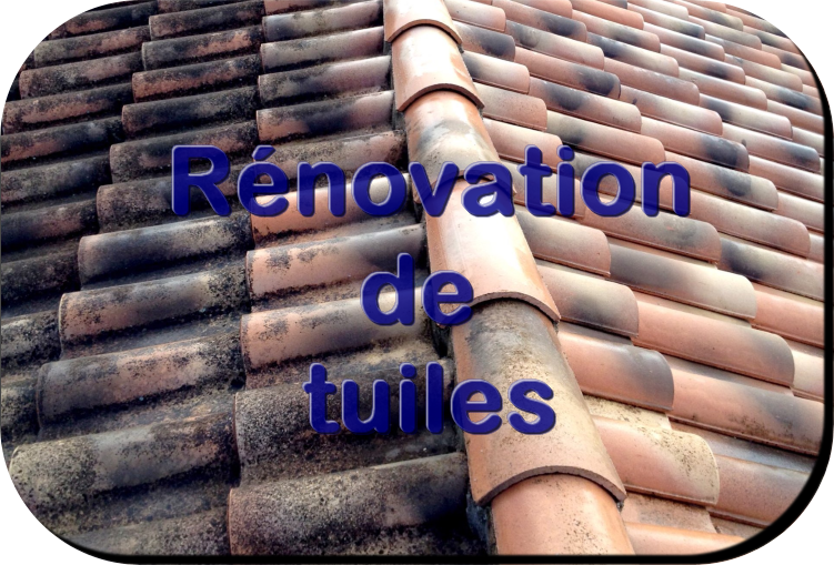 Renovation tuile 1